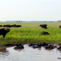 wanderreise_hortobagy_14