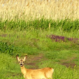 wanderreise_hortobagy_15