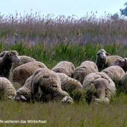 wanderreise_hortobagy_17