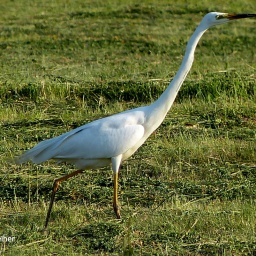 wanderreise_hortobagy_18