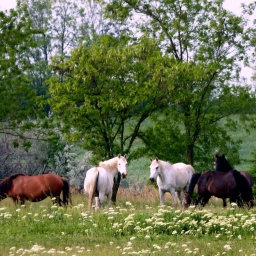 wanderreise_hortobagy_2