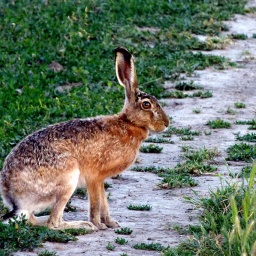 wanderreise_hortobagy_20