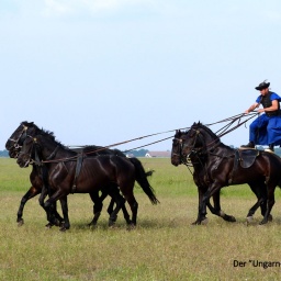 wanderreise_hortobagy_51