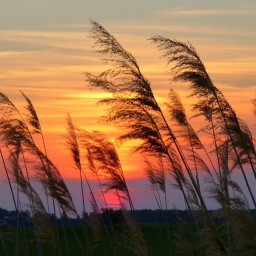 wanderreise_hortobagy_63