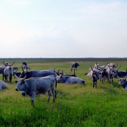 wanderreise_hortobagy_8