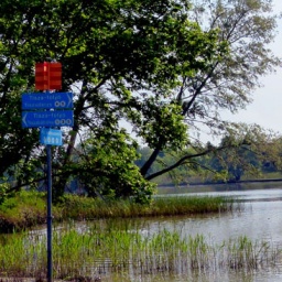 wanderreise_theiss_see_12