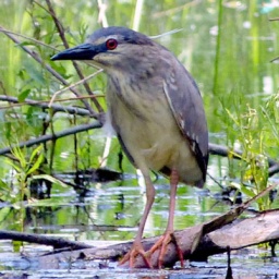 wanderreise_theiss_see_14