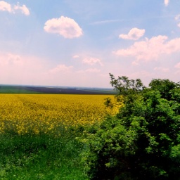 wanderreise_theiss_see_16