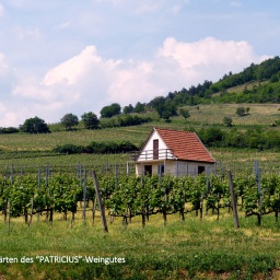 wanderreise_theiss_see_17