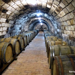 wanderreise_theiss_see_23