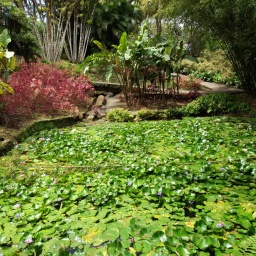 karibik-kreuzfahrt_2018_29