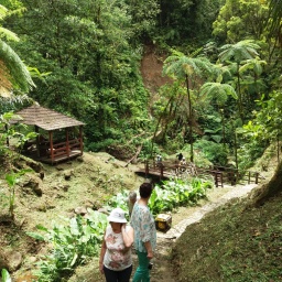 karibik-kreuzfahrt_2018_33