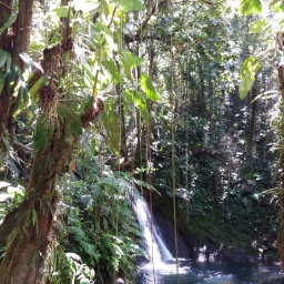 karibik-kreuzfahrt_2018_38