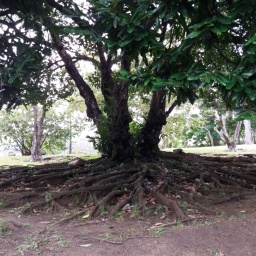 karibik-kreuzfahrt_2018_60