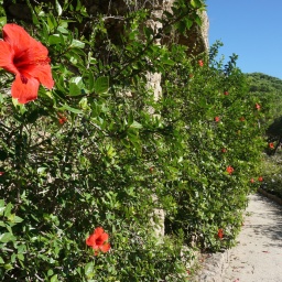 barcelona-park_guell