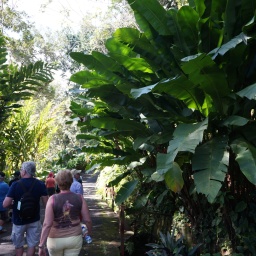 karibik_kreuzfahrt_magica_32