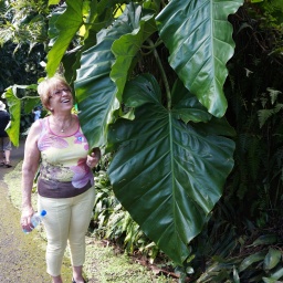 karibik_kreuzfahrt_magica_34