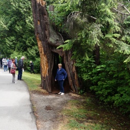 kanada_alaska_rundreise_89