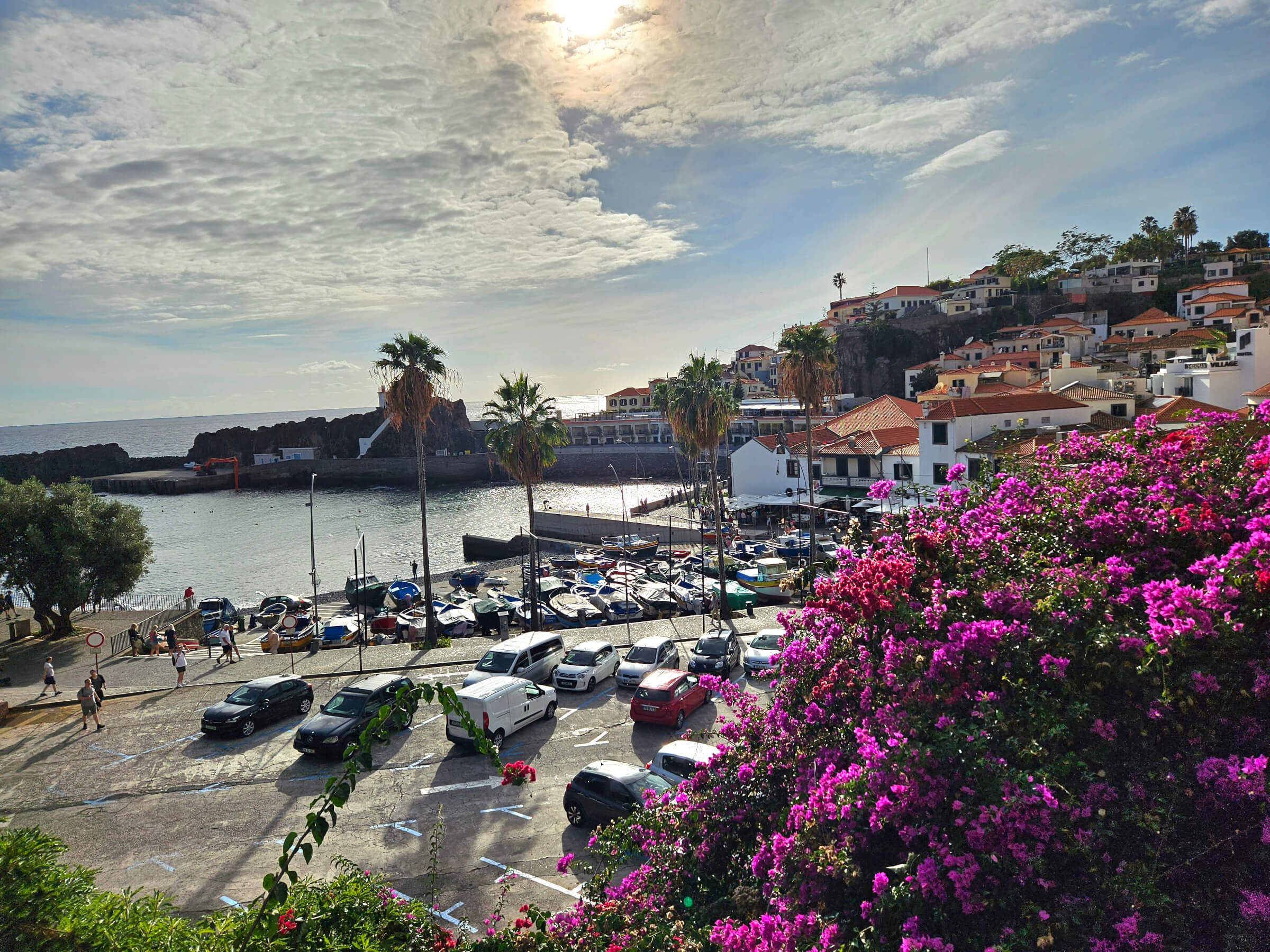 Blick auf einen Hafen mit Booten, Palmen und bunten Blumen im Vordergrund, umgeben von einer malerischen Küstenstadt.