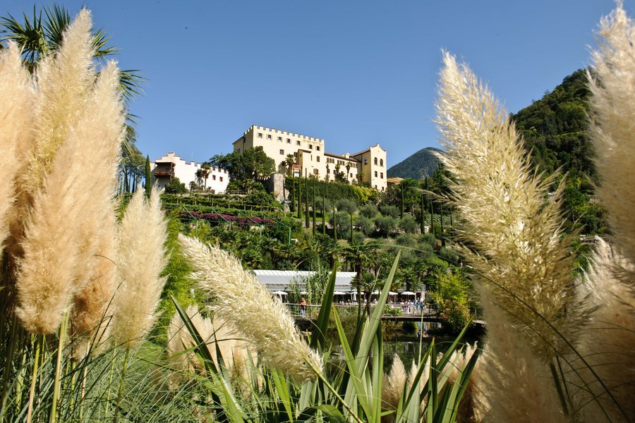 Ein malerisches Anwesen umgeben von üppiger Vegetation unter klarem Himmel. Schönheit der Natur und Architektur vereint.