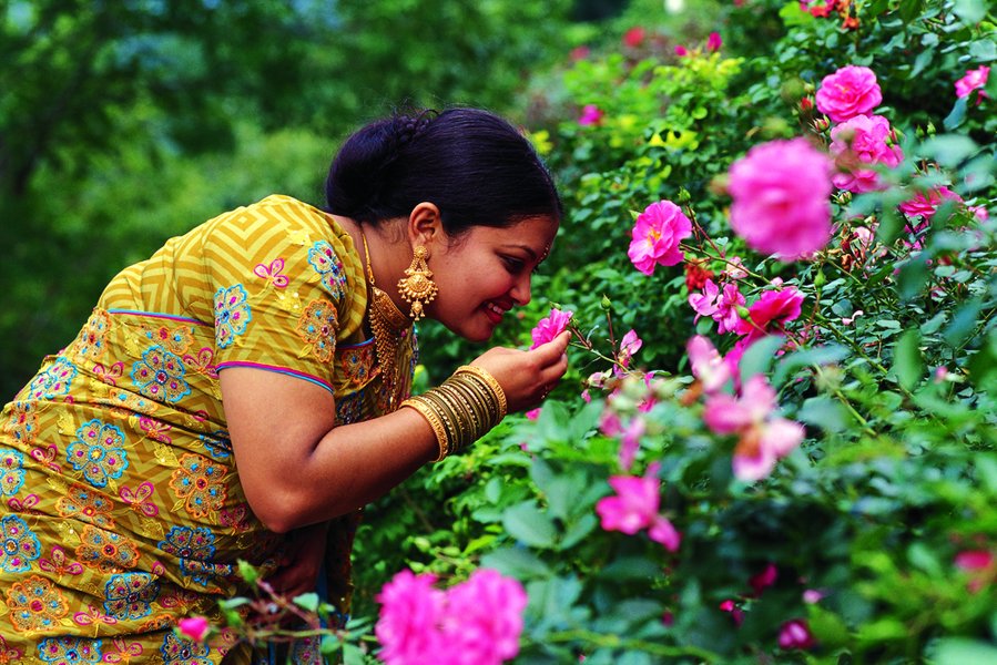 Eine Frau in einem bunten Kleid beugt sich über einen Strauch mit pinken Rosen und riecht an einer Blüte.