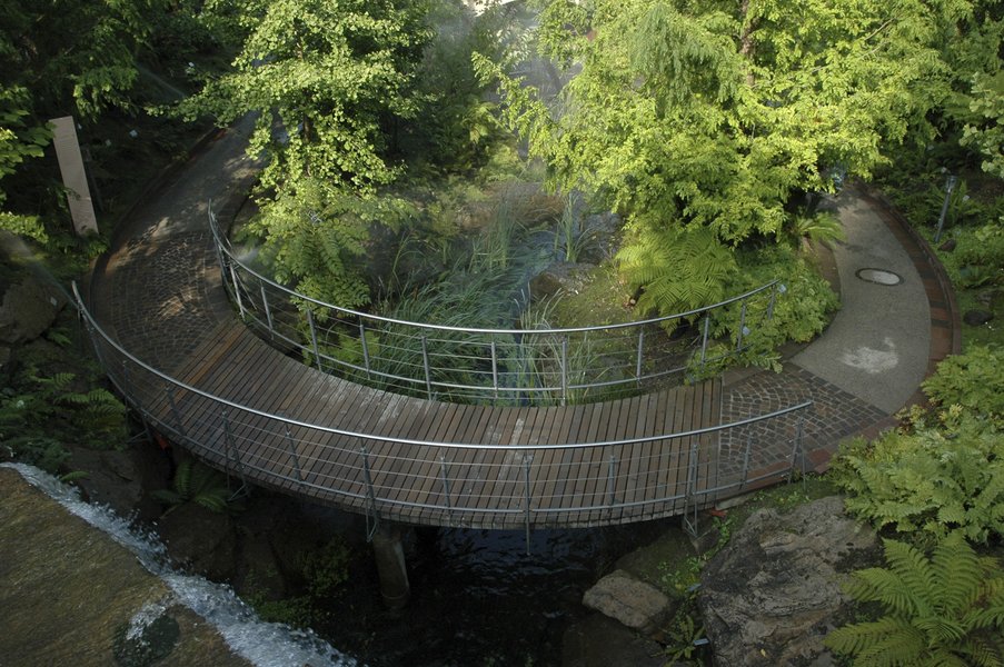 Ein abgerundeter Holzsteg führt durch einen üppigen, grünen Garten mit Wasser und Pflanzen.
