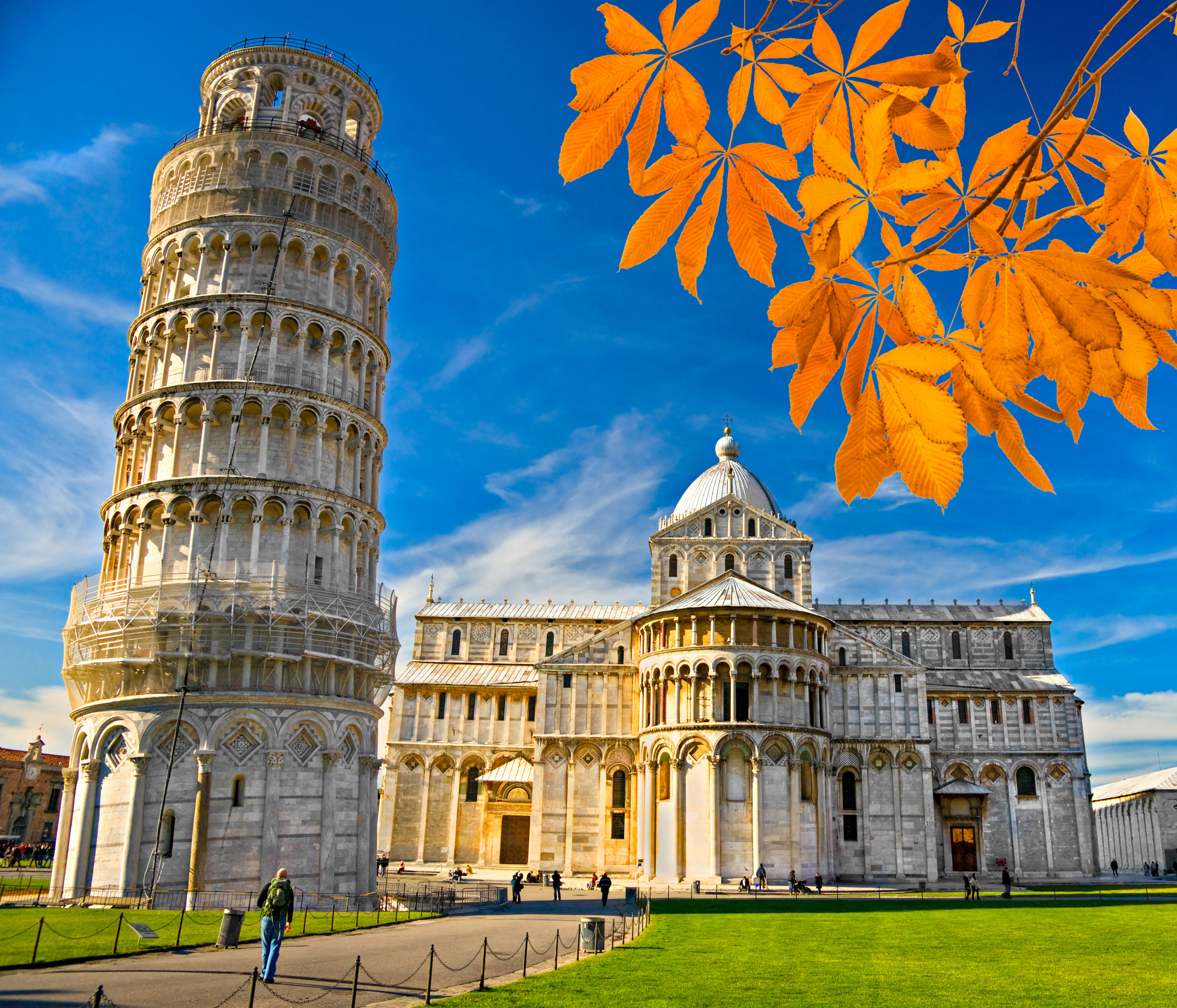 Der schiefe Turm von Pisa vor strahlend blauem Himmel und herbstlichen Blättern im Vordergrund.