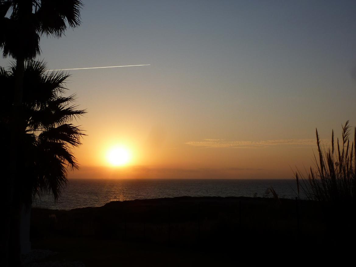 Sonnenuntergang am Meer mit Palmen im Vordergrund und sanften Wellen, die im Licht der untergehenden Sonne glitzern.