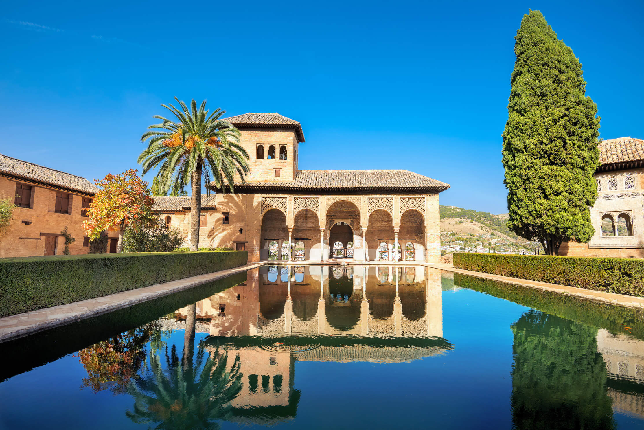 Die Alhambra mit Palmen und Reflexion im Wasser, umgeben von grünem Garten unter klarem blauen Himmel.
