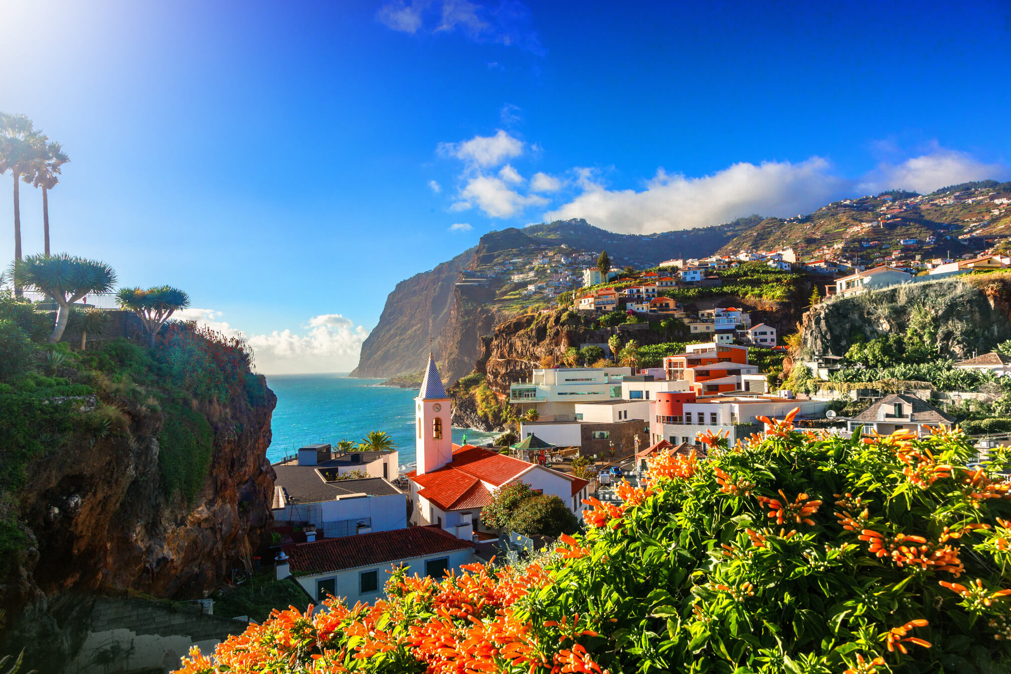 Ein malerischer Blick auf eine Küstenstadt mit Blumen, Bergen und blauem Himmel über dem Meer.