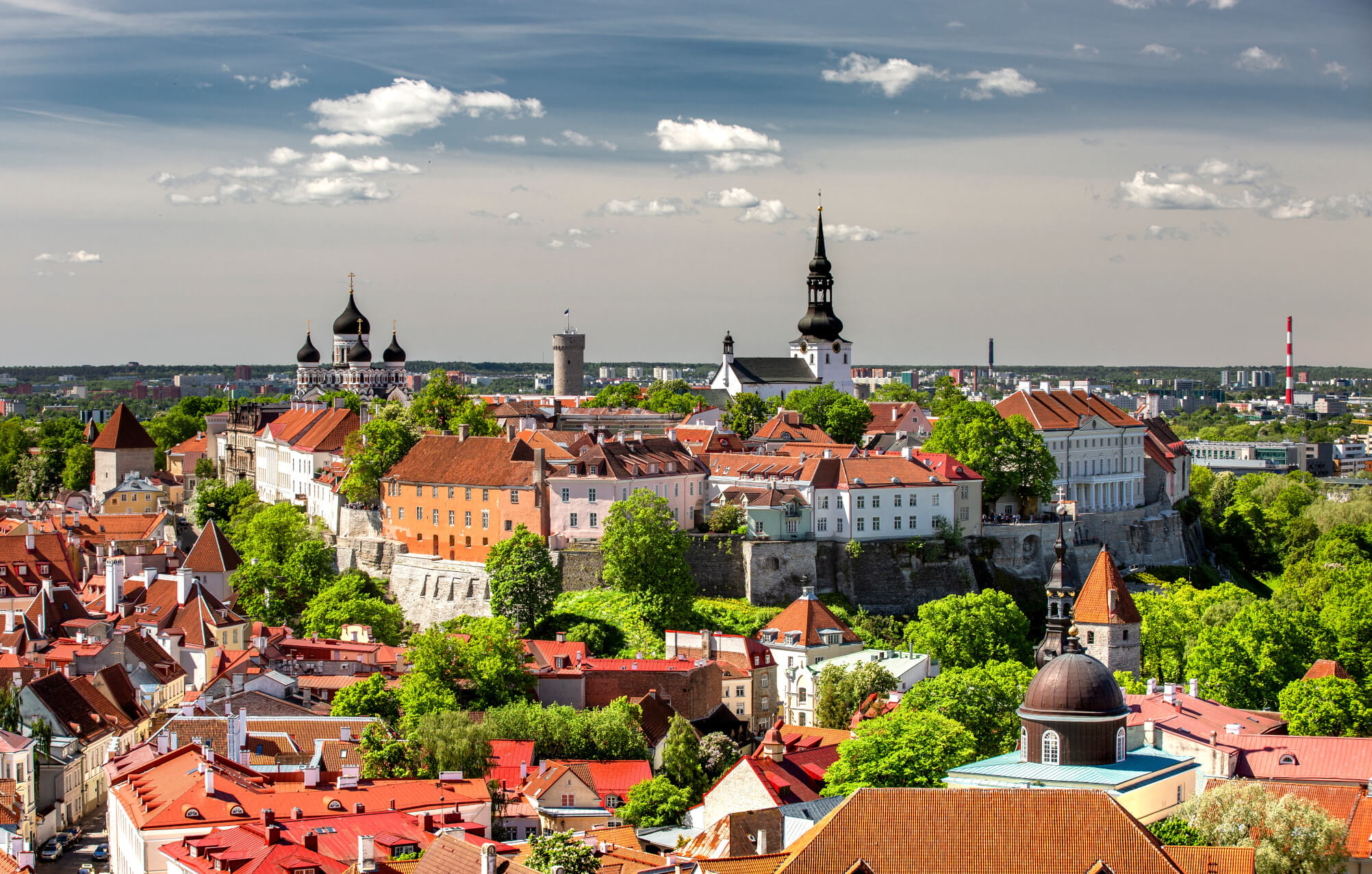 Eine malerische Aussicht auf die Stadt mit roten Dächern, grünen Bäumen und historischen Gebäuden im Hintergrund.