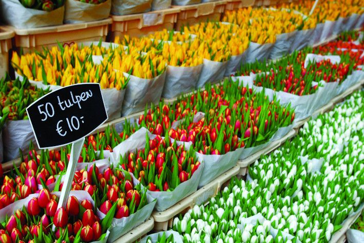 Bunte Tulpenarrangements in einem Markt, mit einem Preis von 10 € für 50 Tulpen. Frühjahrsausschnitt.