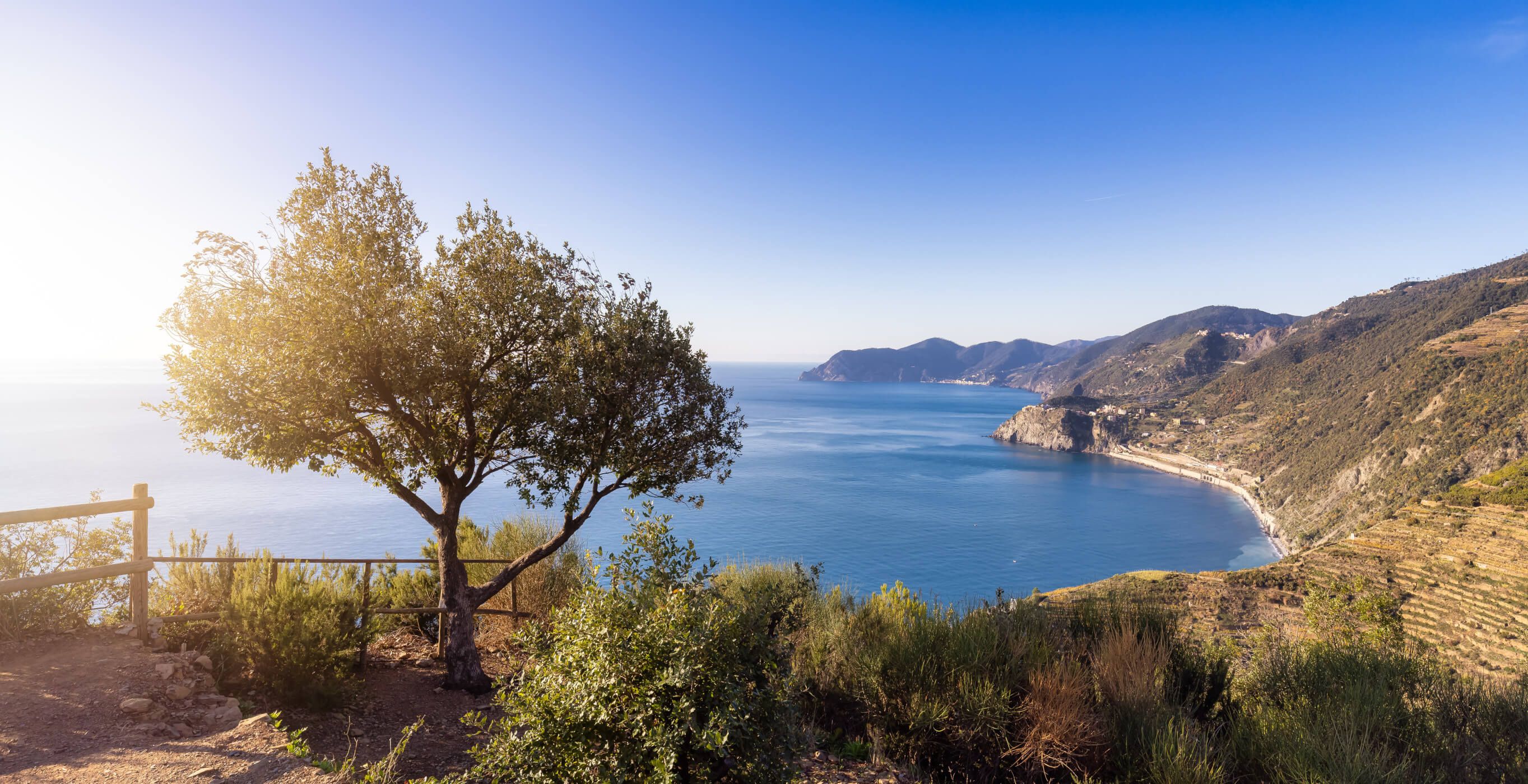 Ein schöner Küstenblick mit Bäumen, sanften Hügeln und klarem blauen Wasser unter einem strahlend blauen Himmel.