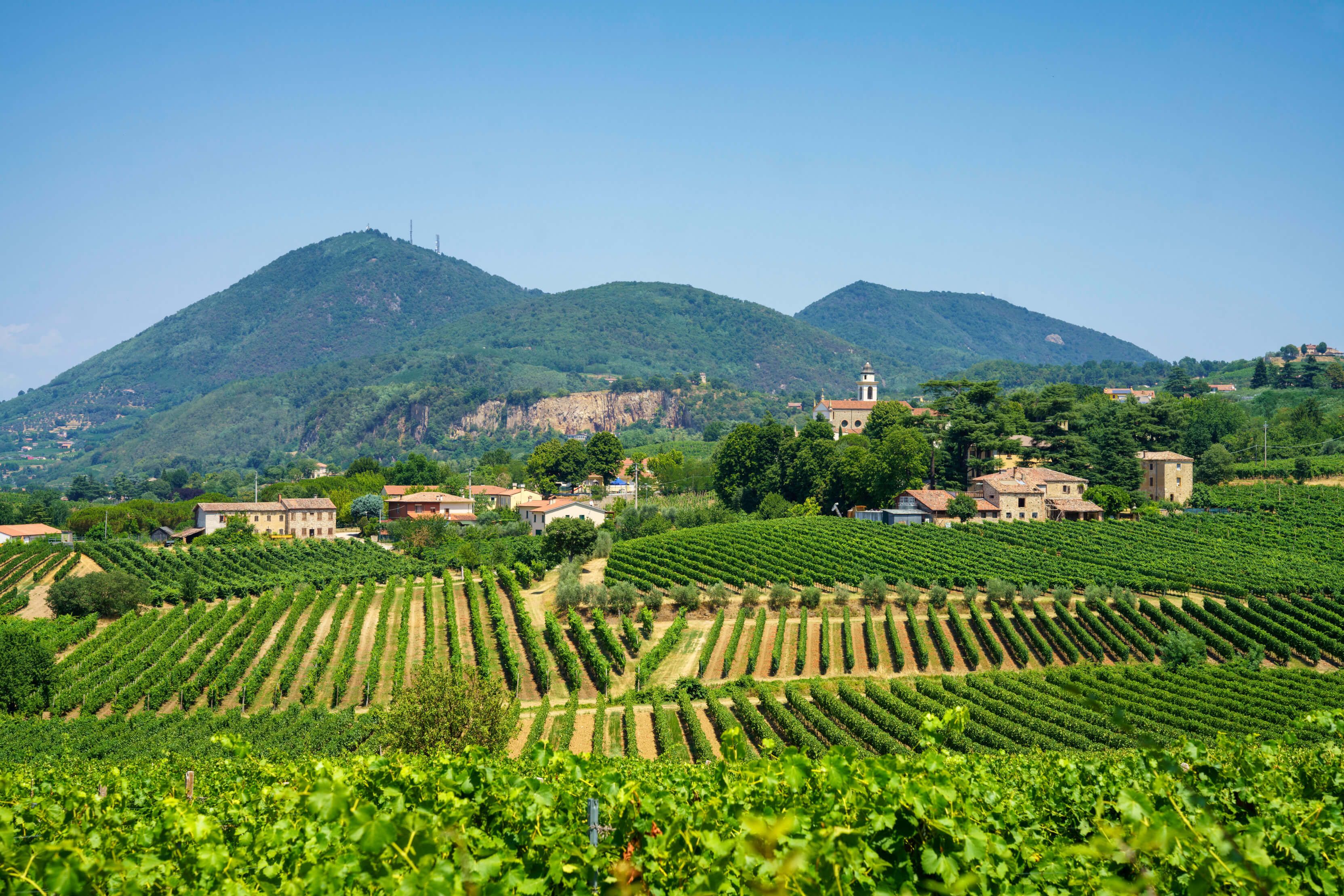 Eine idyllische Landschaft mit Weinbergen, Hügeln und malerischen Gebäuden unter blauem Himmel.