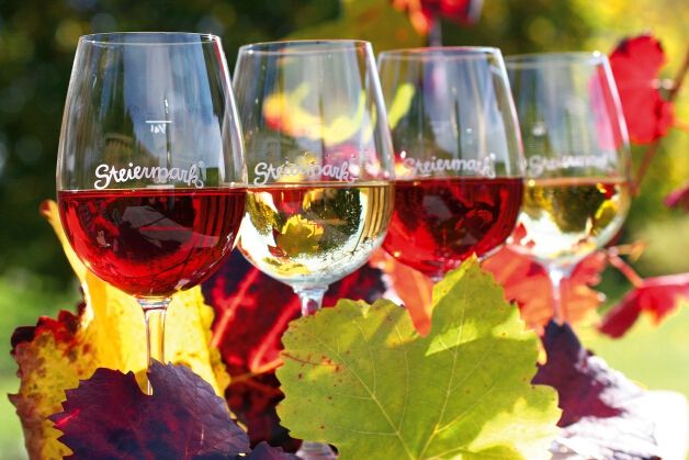 Drei Weingläser mit Rot- und Weißwein stehen zwischen bunten Herbstblättern im Sonnenlicht.