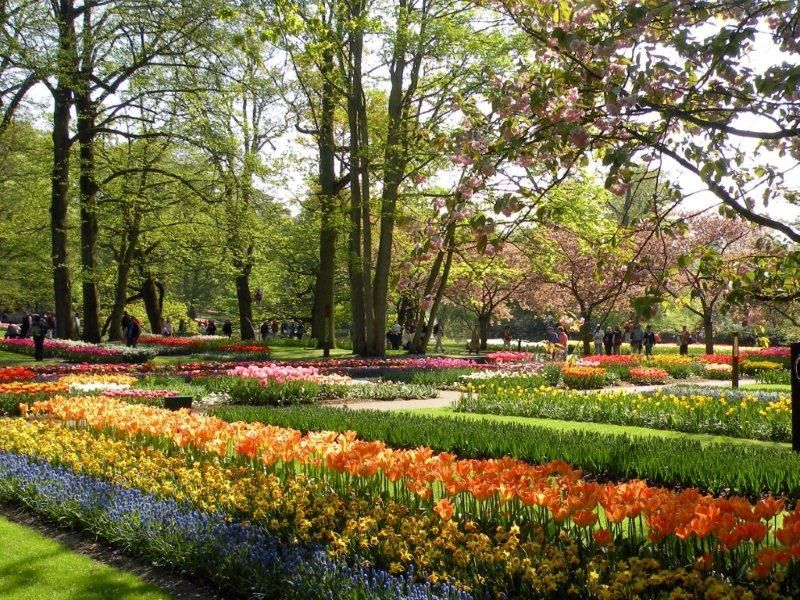 Bunte Blumen in einem parkähnlichen Garten, umgeben von Bäumen, genießen Menschen die frische Luft und Natur.