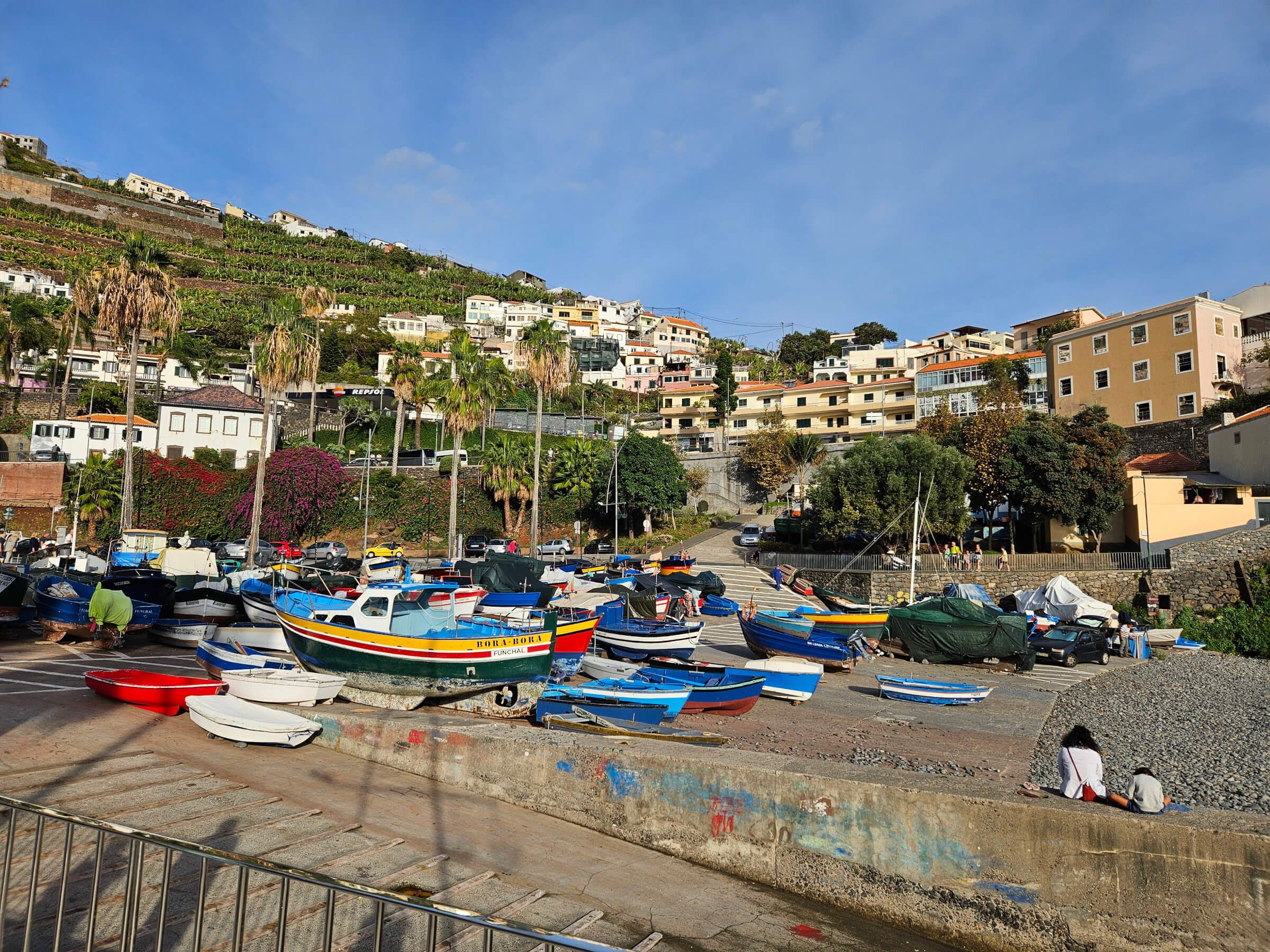 Ein Hafen mit bunten Booten, Häusern an einem Hang und Palmen unter blauem Himmel. Ruhe und malerische Landschaft.