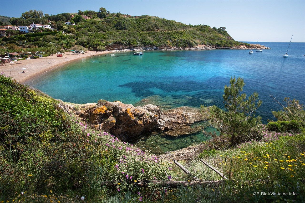 Eine idyllische Küstenlandschaft mit klarem Wasser, Felsen und blühenden Pflanzen. Perfekt zum Entspannen!