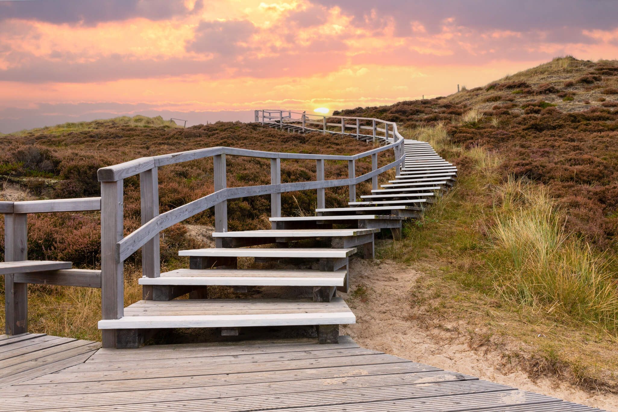 Ein gewundener Holzsteg führt durch eine Heidelandschaft, beleuchtet von einem schönen Sonnenuntergang.