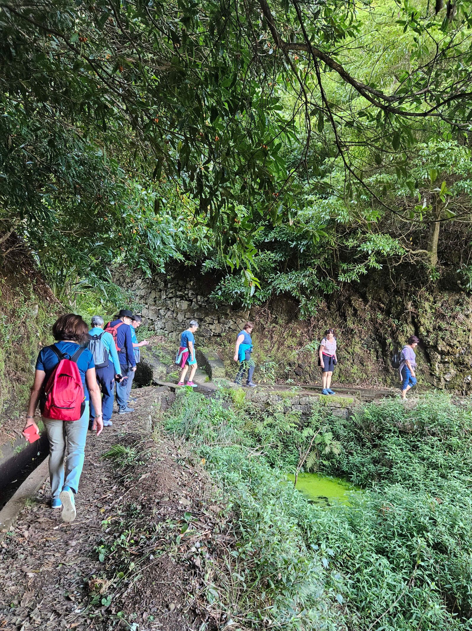 Eine Gruppe von Wanderern erkundet einen grünen Weg entlang eines schmalen Pfads in der Natur.