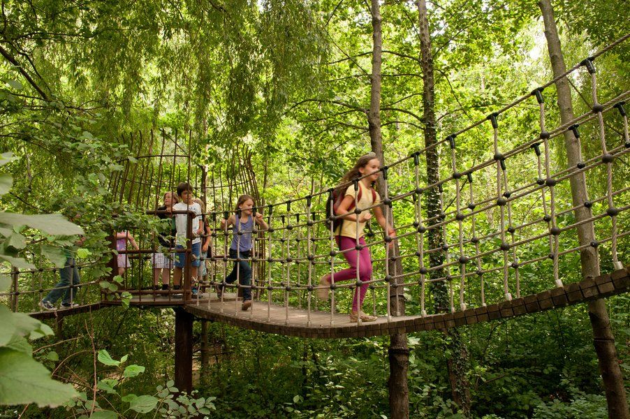 Kinder überqueren eine Hängebrücke im Wald, umgeben von üppigem Grün und Bäumen. Abenteuer in der Natur!