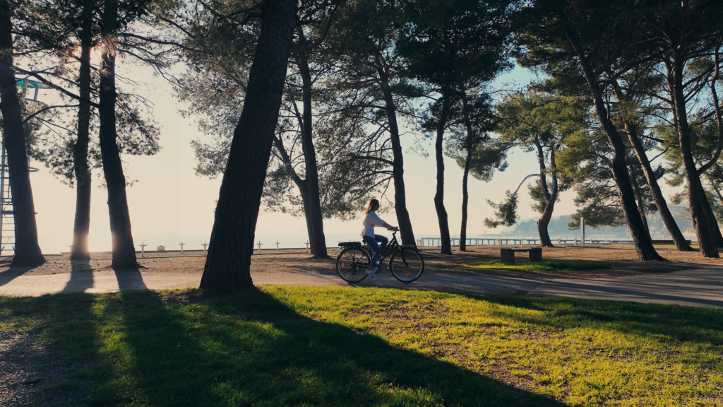 Eine Person fährt mit dem Fahrrad entlang eines schattigen Weges, umgeben von Bäumen und Blick auf das Wasser.
