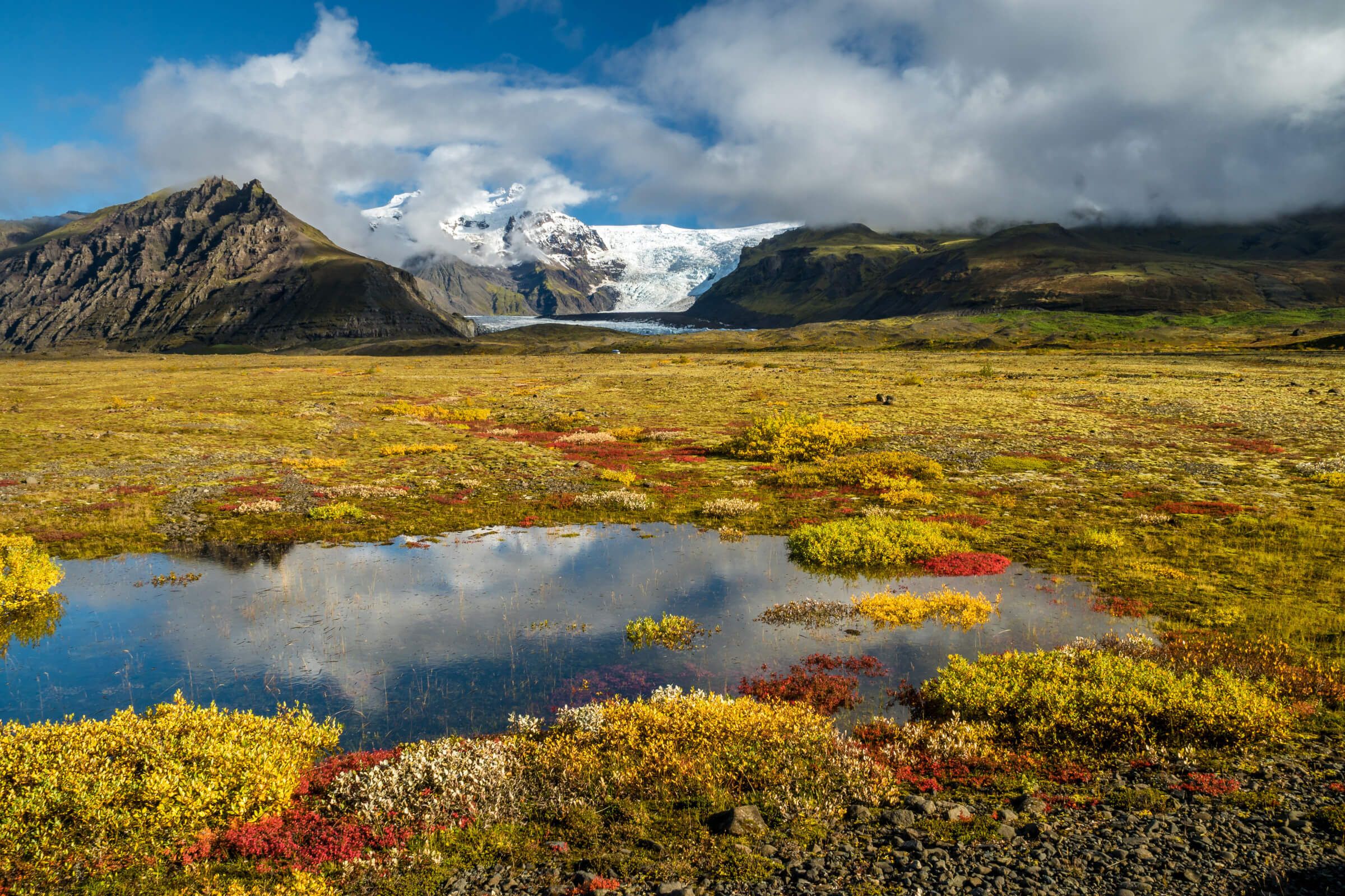 Eine weitläufige Landschaft mit bunten Pflanzen, Bergen und einem Gletscher unter einem blauen Himmel mit Wolken.